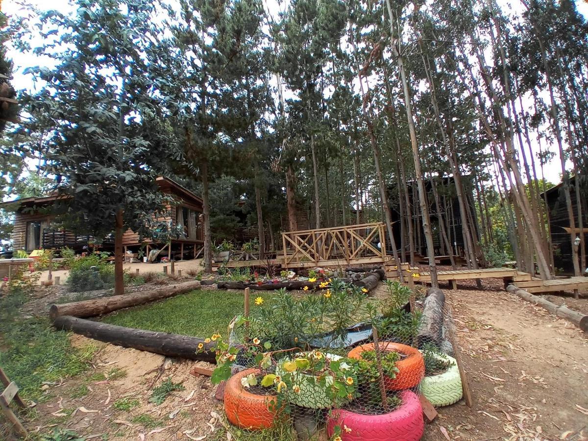 Lodge Terra Mar Pichilemu Ngoại thất bức ảnh