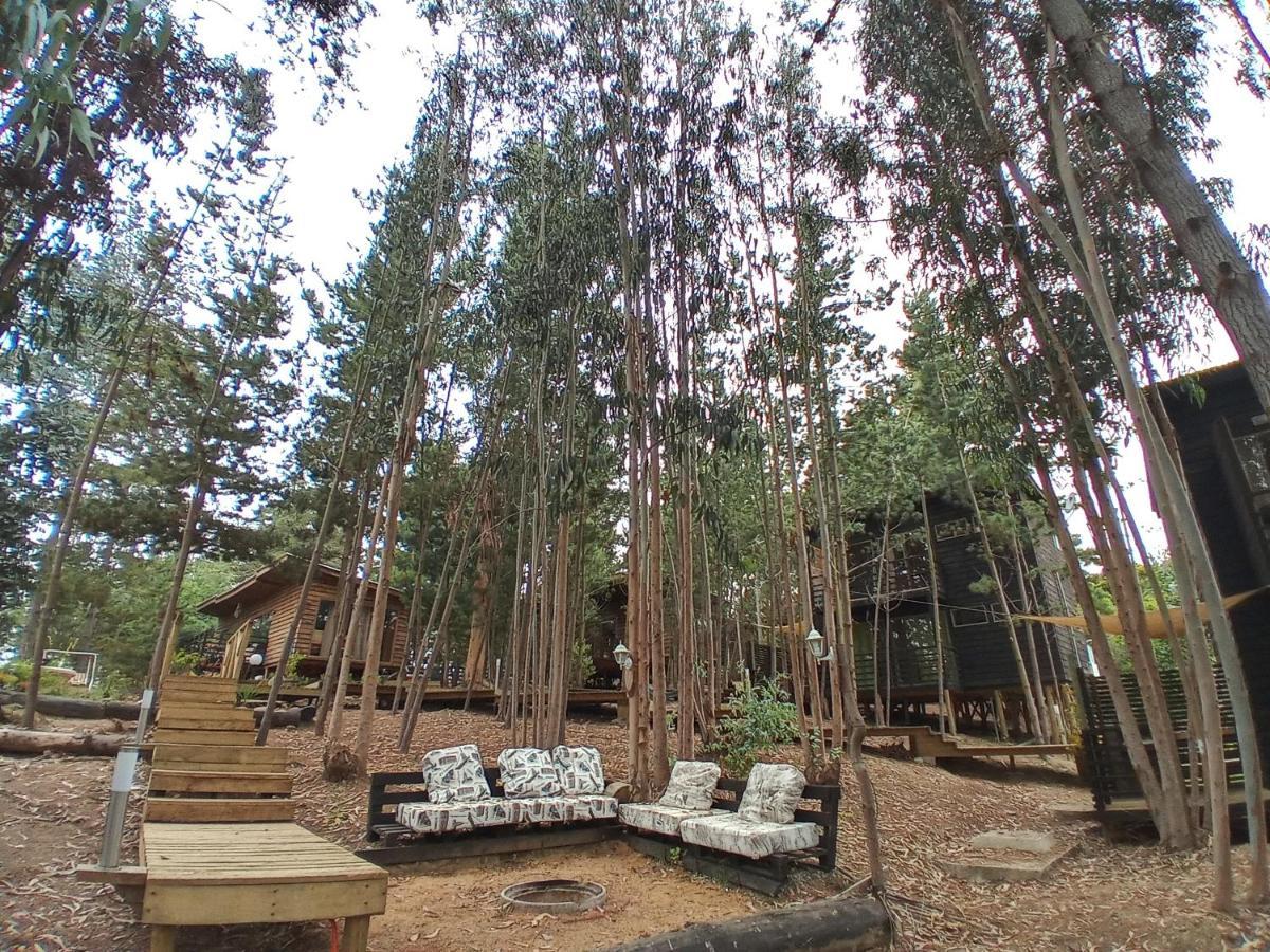 Lodge Terra Mar Pichilemu Ngoại thất bức ảnh