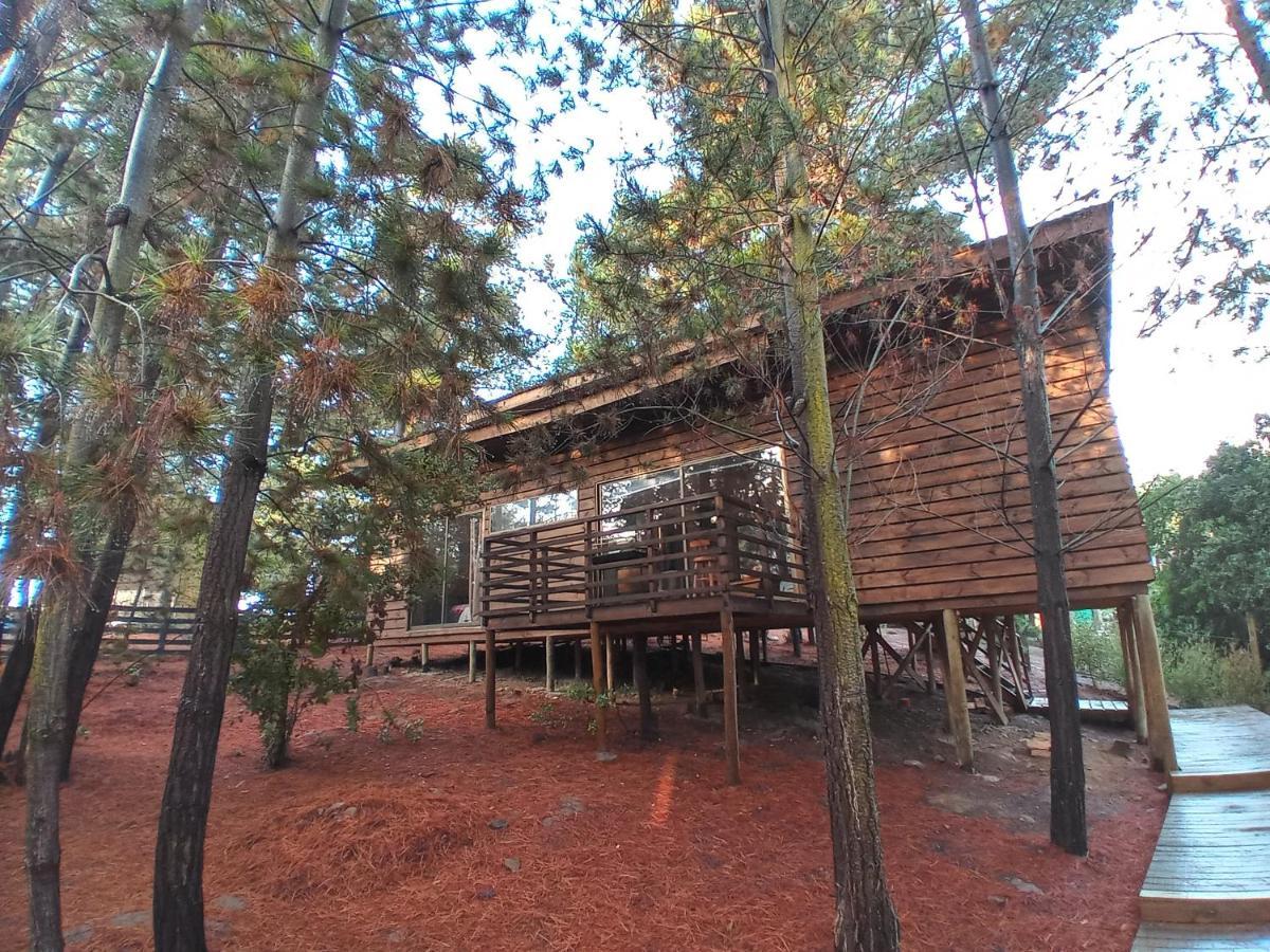 Lodge Terra Mar Pichilemu Ngoại thất bức ảnh