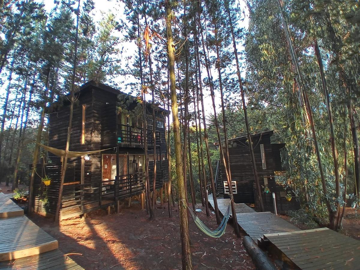 Lodge Terra Mar Pichilemu Ngoại thất bức ảnh
