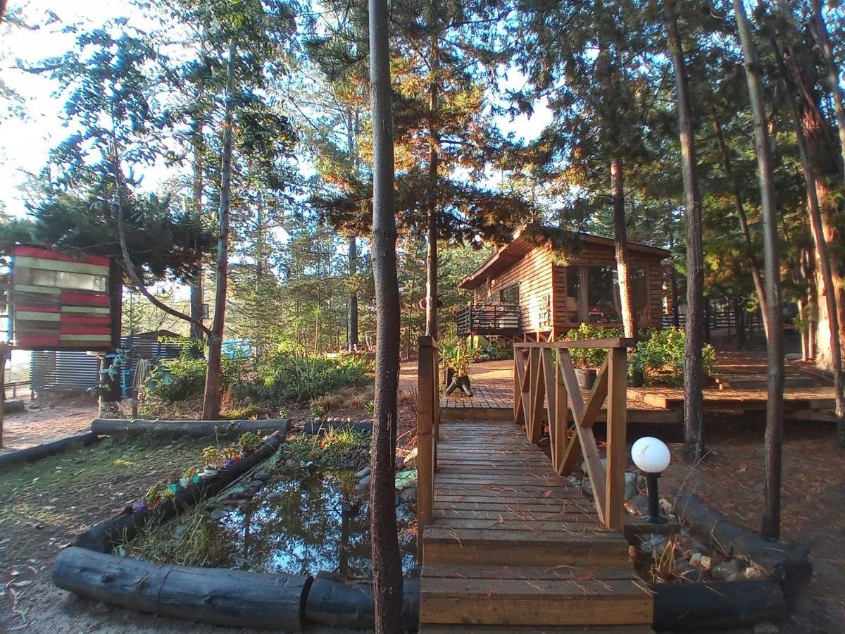 Lodge Terra Mar Pichilemu Ngoại thất bức ảnh