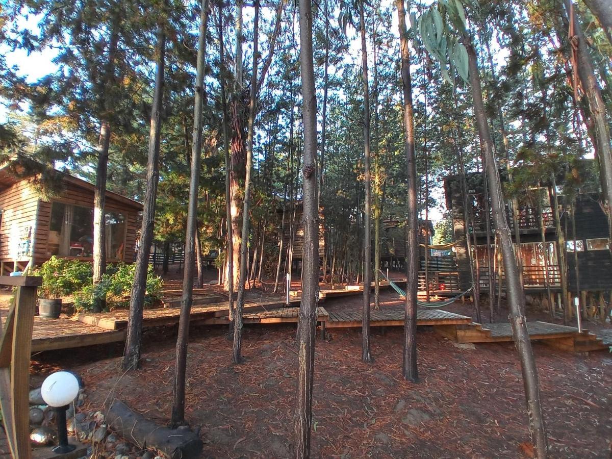 Lodge Terra Mar Pichilemu Ngoại thất bức ảnh