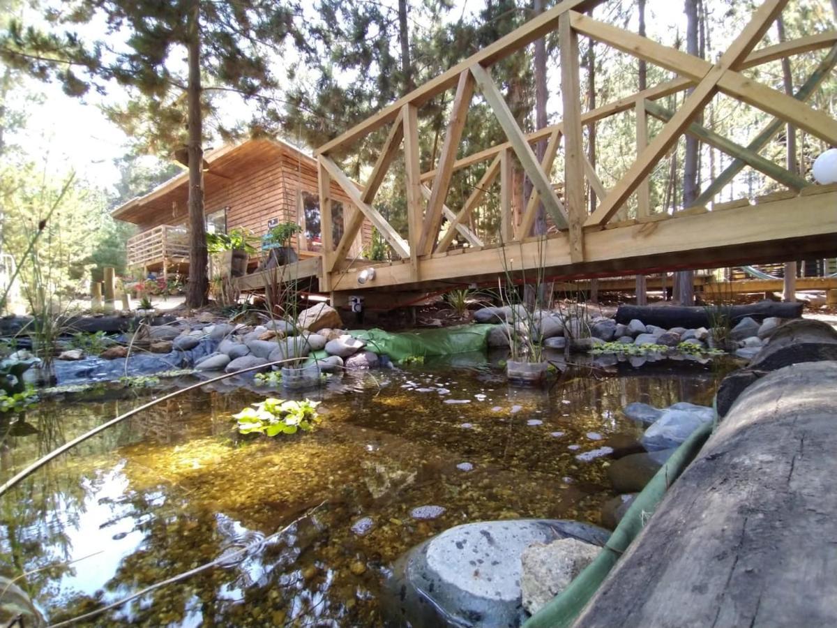 Lodge Terra Mar Pichilemu Ngoại thất bức ảnh